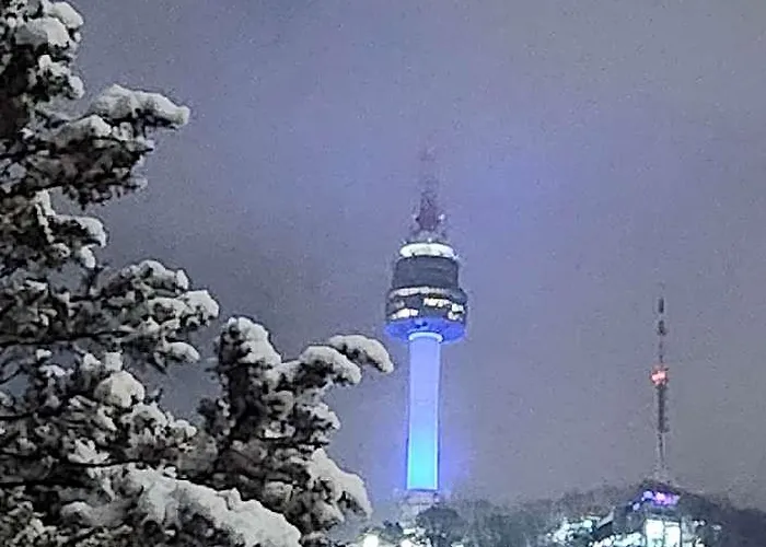 Otel Seoulview
